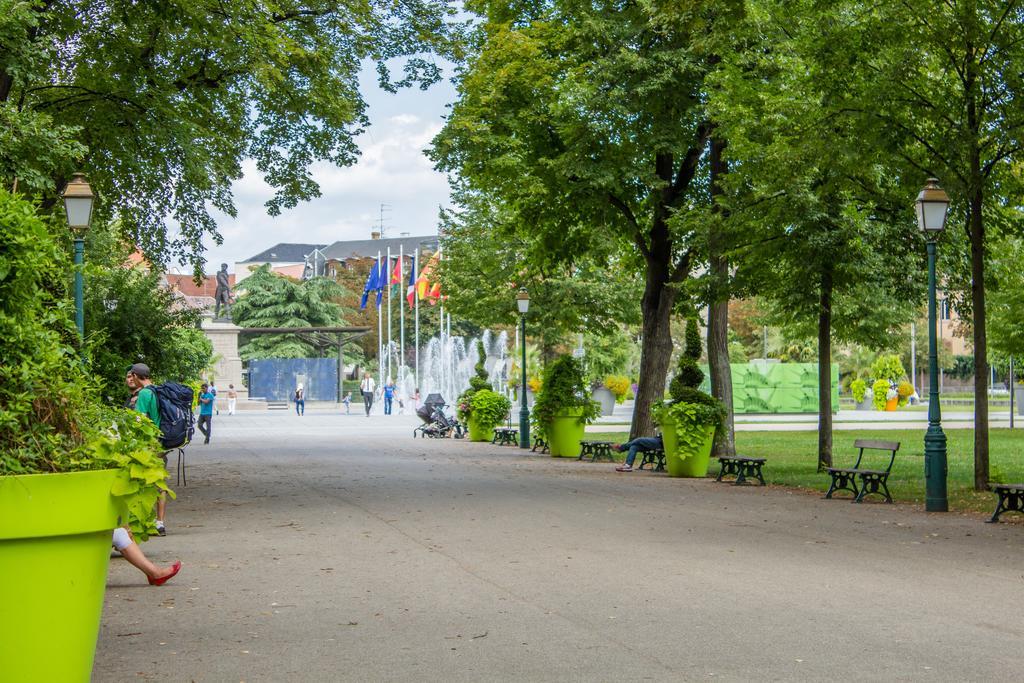 Grand Studio Colmar Centre Номер фото