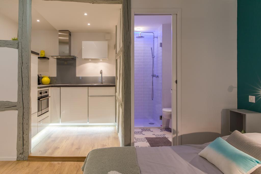 Grand Studio Colmar Centre Номер фото